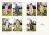 Khwaab By Riaz Arts Designer Digital Printed Karachi Cotton Dress Material Wholesale Online
